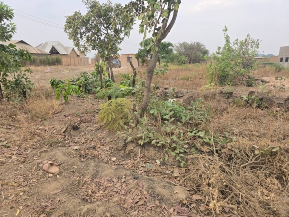 scaled IMG 20251030 WA00882