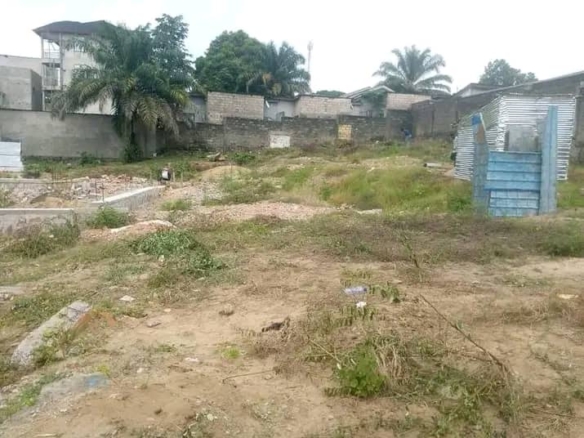 Bfb971f1 6825 4e49 8e88 0e360499fb0d