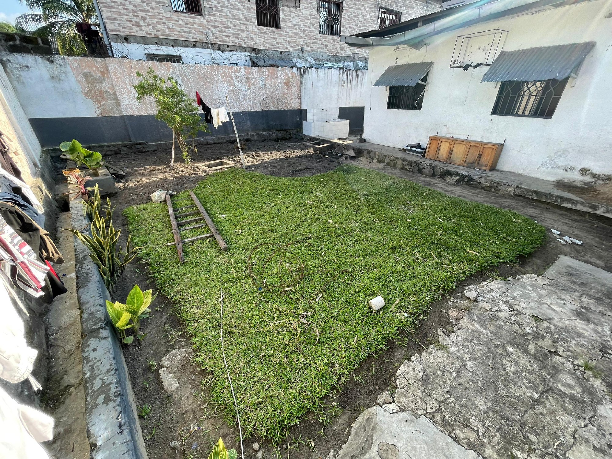 scaled_1001735504 PARCELLE