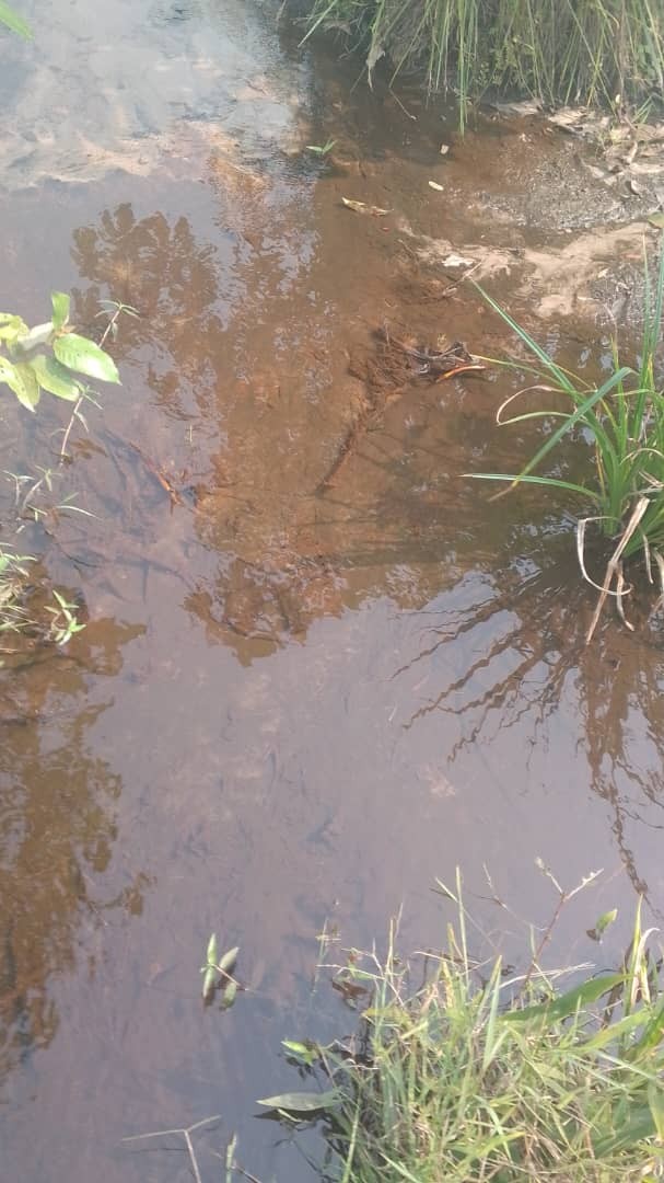 scaled_1003850738 Terrain