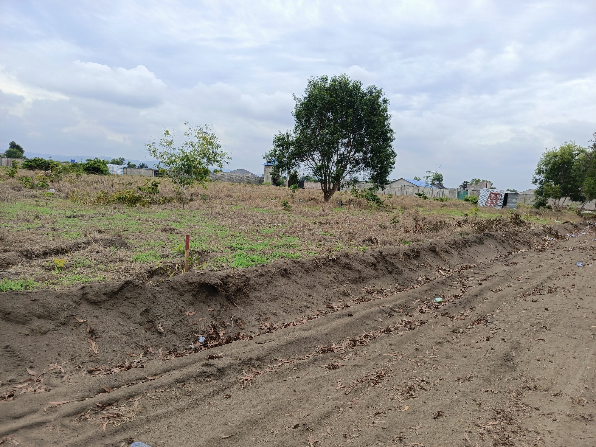 scaled_1005911802 Terrains