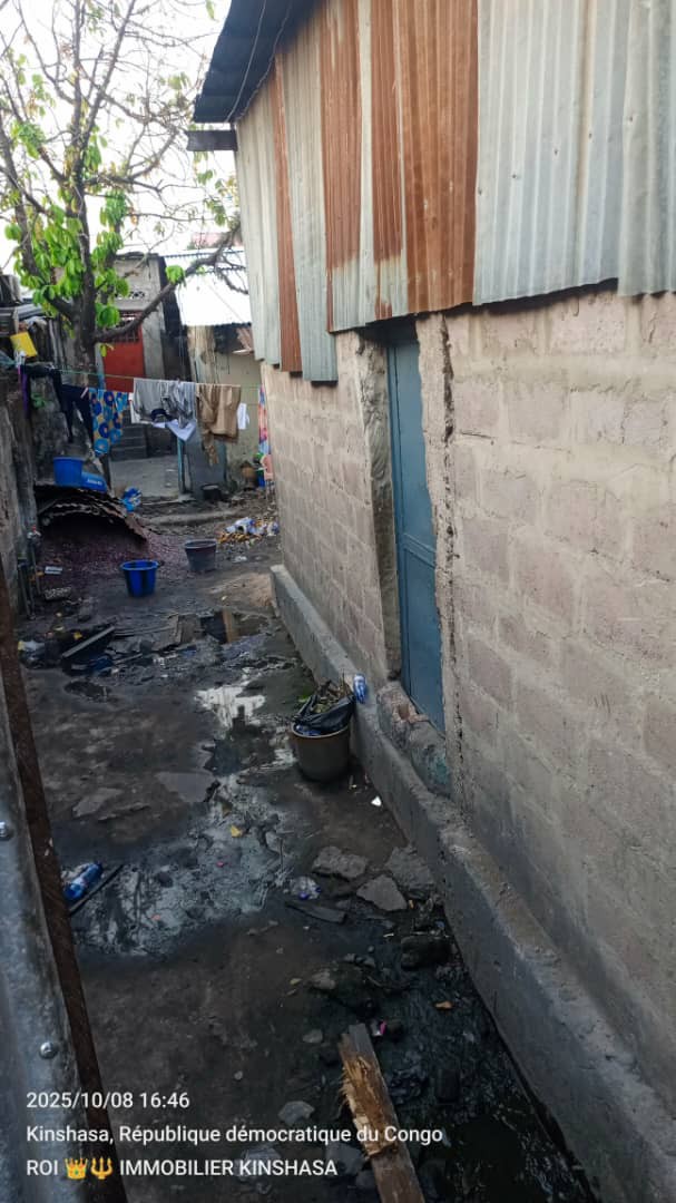 scaled_1005933456 PARCELLE