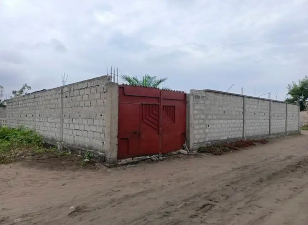 scaled_1005946121 PARCELLE