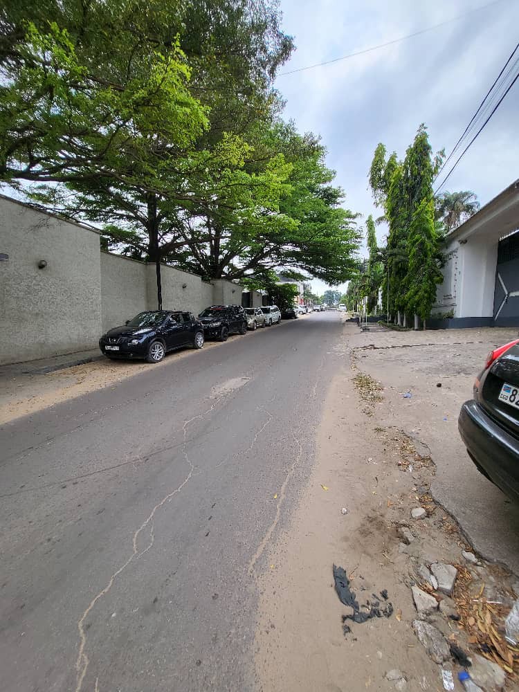 scaled_1006102025 Parcelle