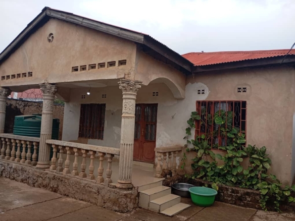 scaled IMG 20251112 WA01701