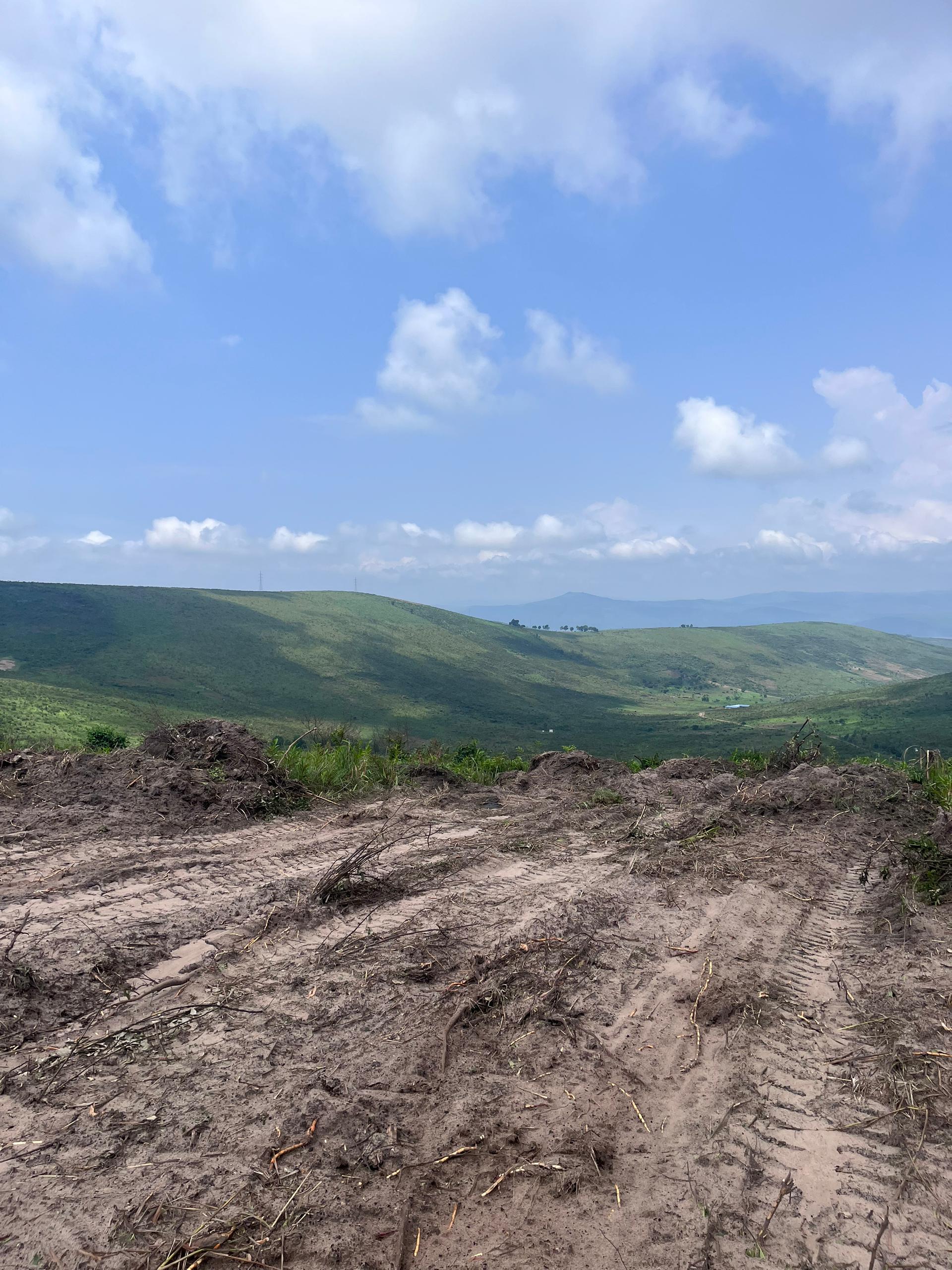 WhatsApp Image 2025-12-18 at 4.08.01 AM