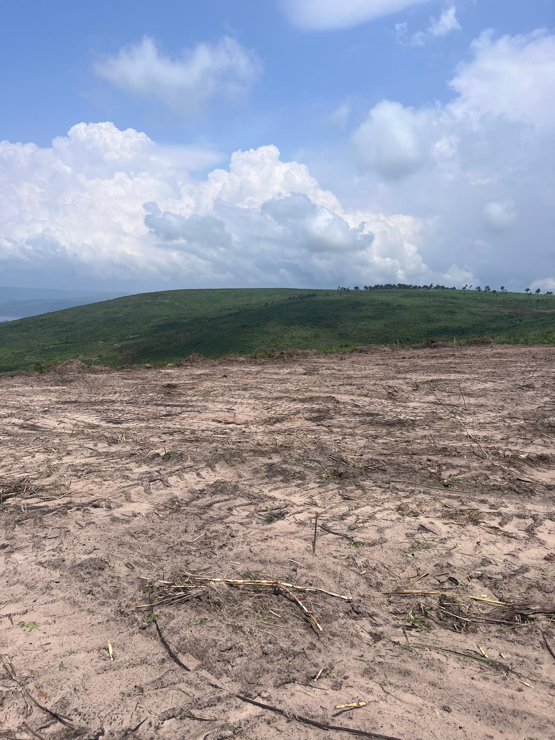 WhatsApp Image 2025-12-18 at 4.08.02 AM (1)