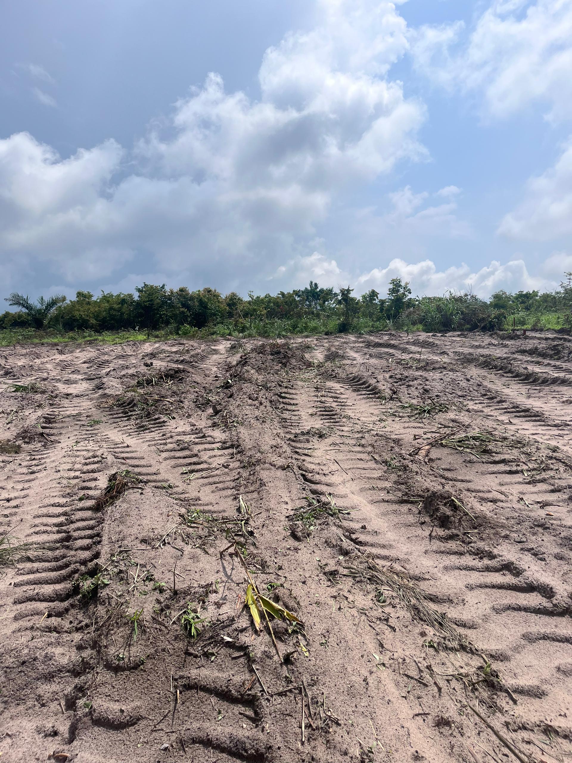 WhatsApp Image 2025-12-18 at 4.08.02 AM (3)