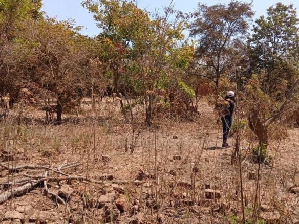 Scaled e0a67631a919df9bd57211b3874b84b6 12