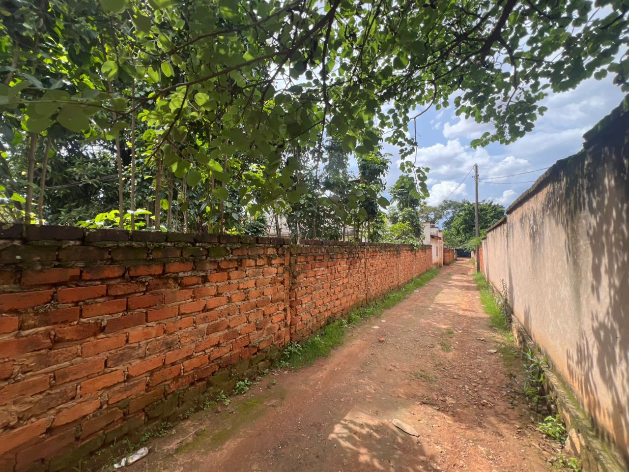 scaled_IMG-20260106-WA0164(1)