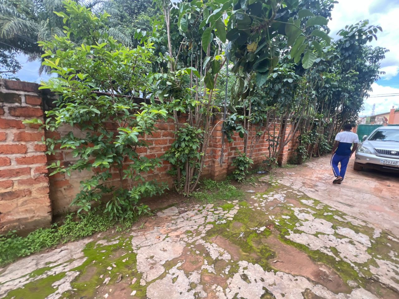 scaled_IMG-20260106-WA0172(3)