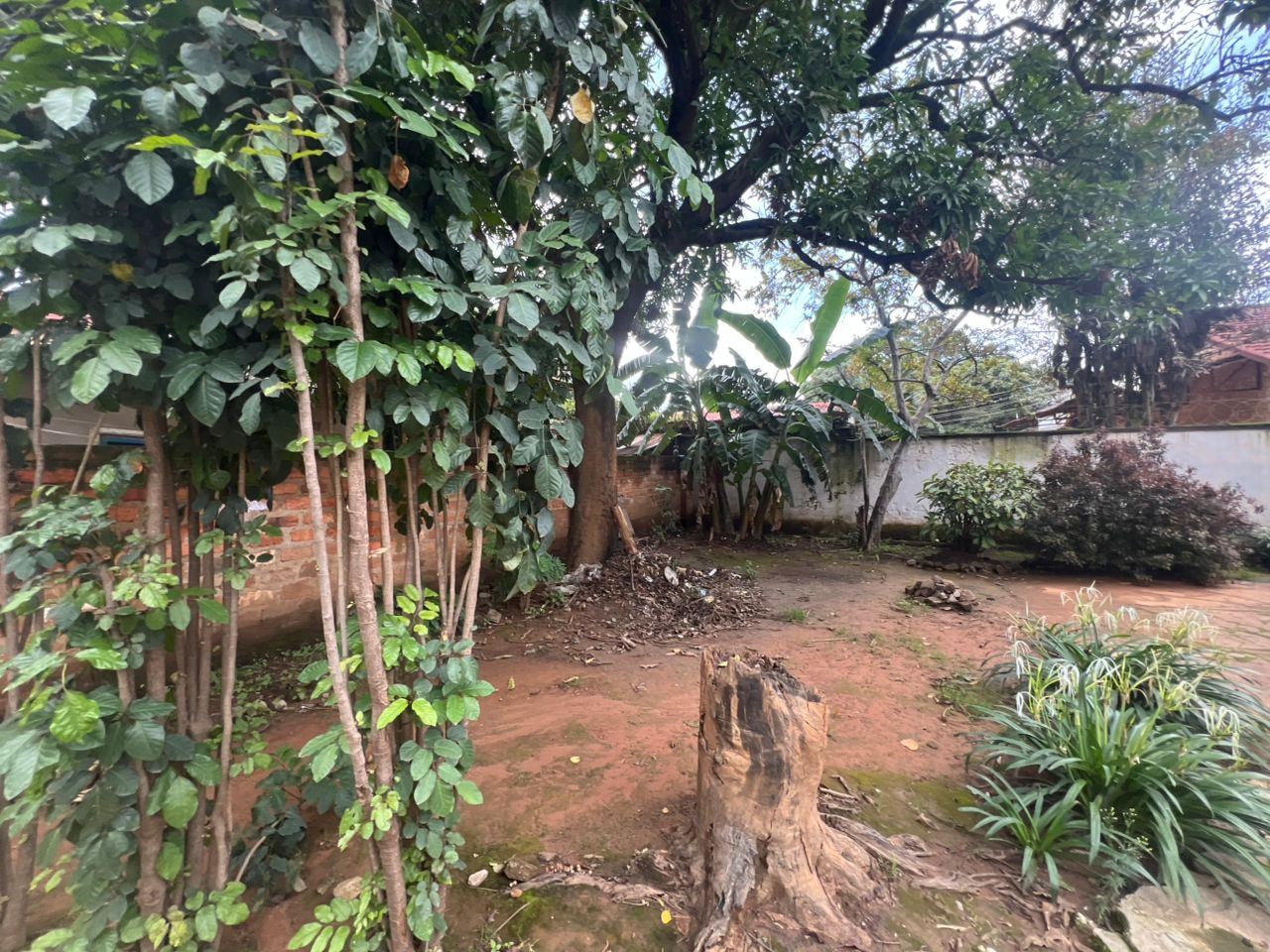 scaled_IMG-20260106-WA0174(2)