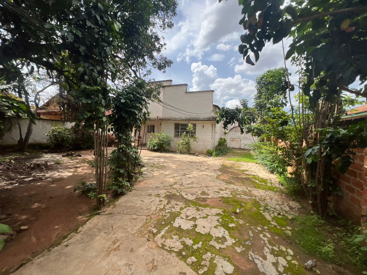 scaled_IMG-20260106-WA0178(1)