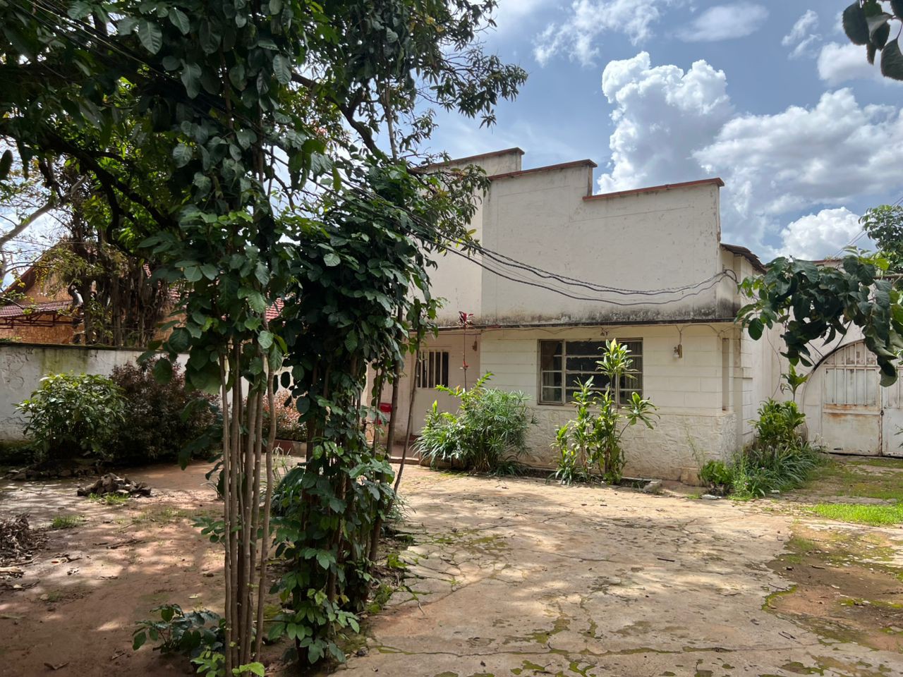 scaled_IMG-20260106-WA0184