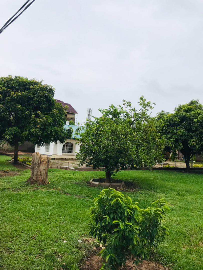 scaled_IMG-20260107-WA0155(1)