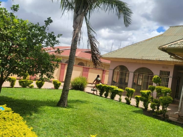 Scaled img 20260114 wa01351