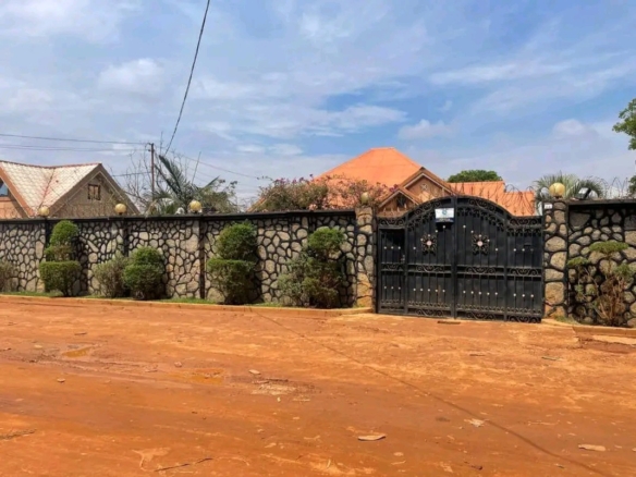 Scaled 1770047680421