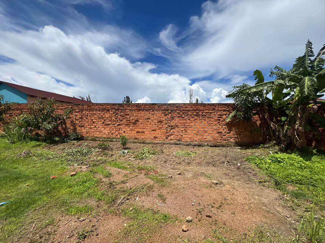 scaled_IMG-20260116-WA0004(1)