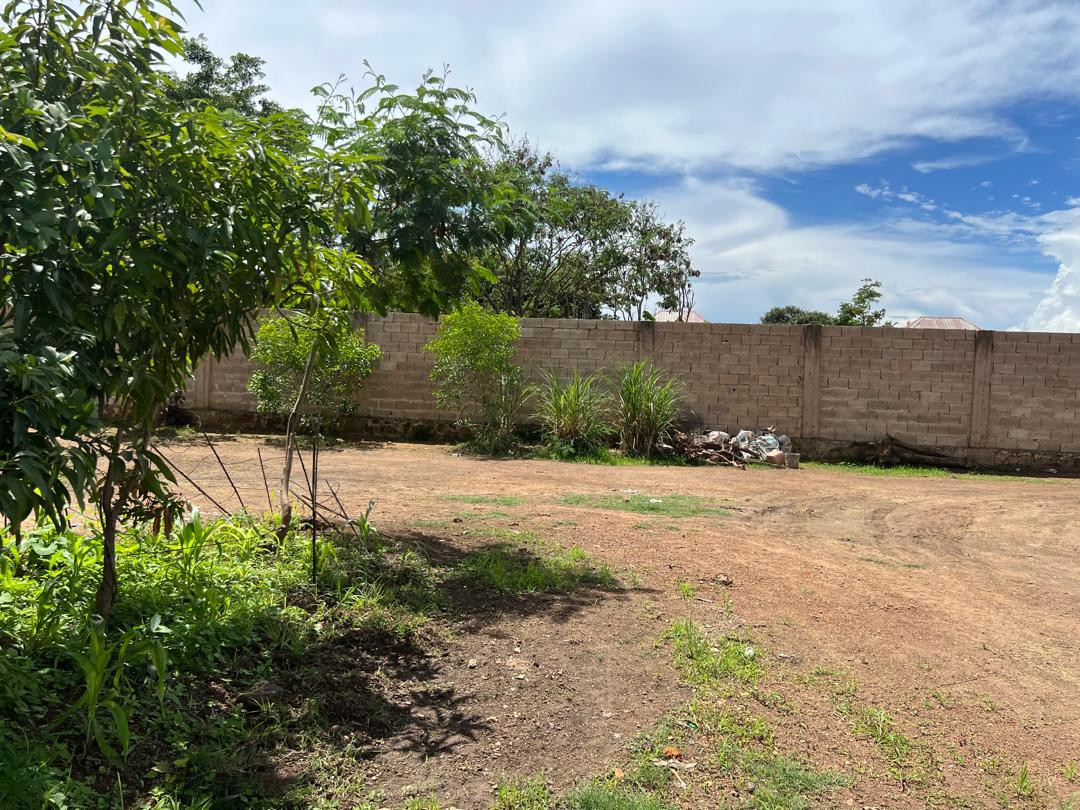 scaled_IMG-20260116-WA0007(1)