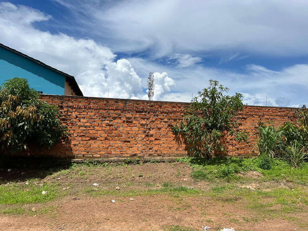 scaled_IMG-20260116-WA0012(1)