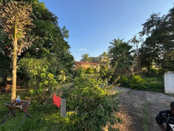 Scaled 1774440091657