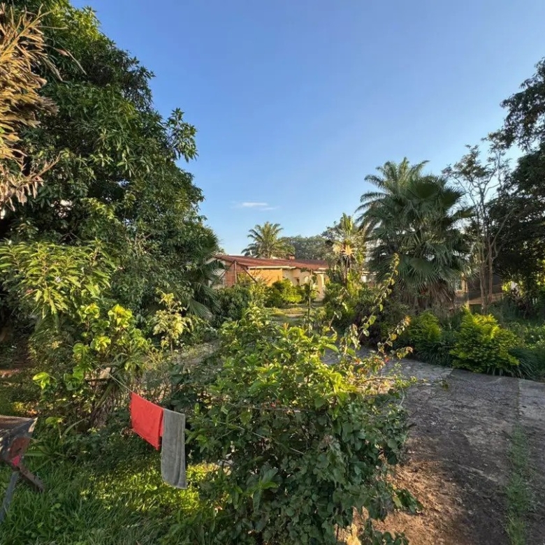 Scaled 1774440091657