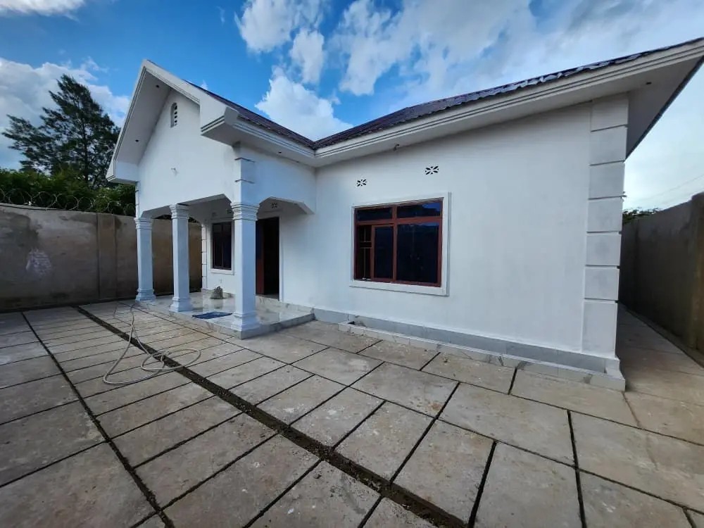 Scaled 1774827940252