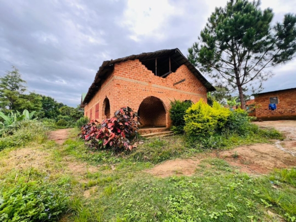 Scaled img 20260303 wa00631