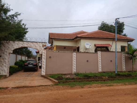 Scaled img 20260317 wa00532