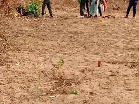 Scaled img 20260325 wa02736