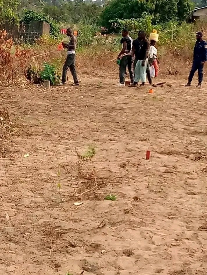 Scaled img 20260325 wa02736