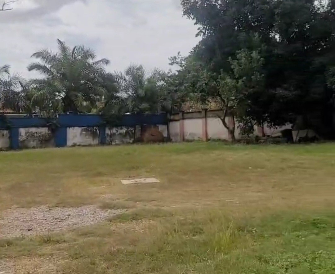 scaled_Screenshot_20260314_181509_Gallery