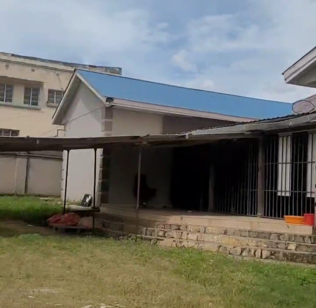 scaled_Screenshot_20260314_181524_Gallery