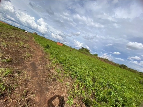 Scaled screenshot 20260327 104358 lite