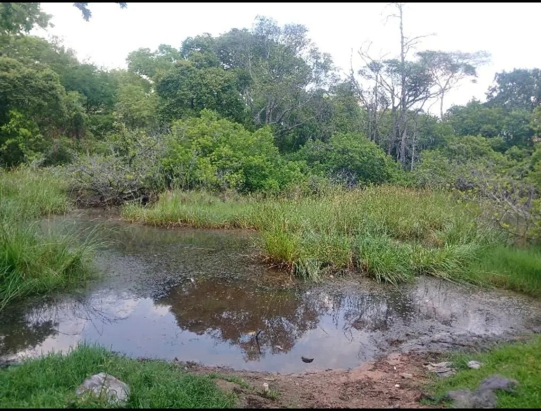 scaled_Screenshot_20260328-103422_Lite