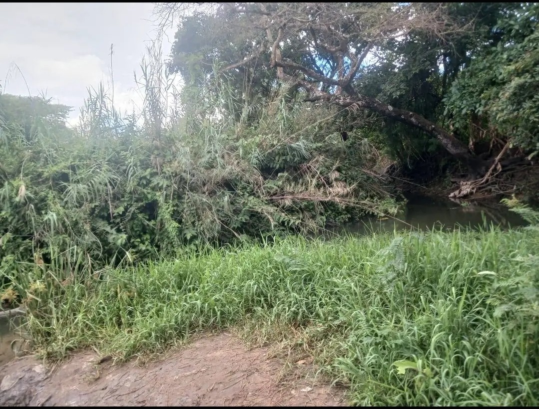 scaled_Screenshot_20260328-103429_Lite