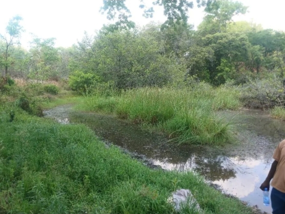 Scaled screenshot 20260328 103443 lite