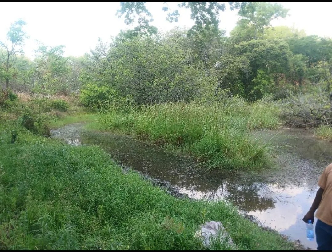 scaled_Screenshot_20260328-103443_Lite