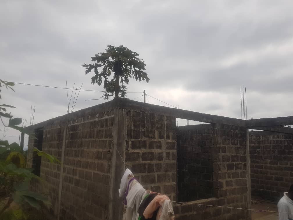 Parcelle-Terrain à Vendre – Mont-Ngafula, Kinshasa