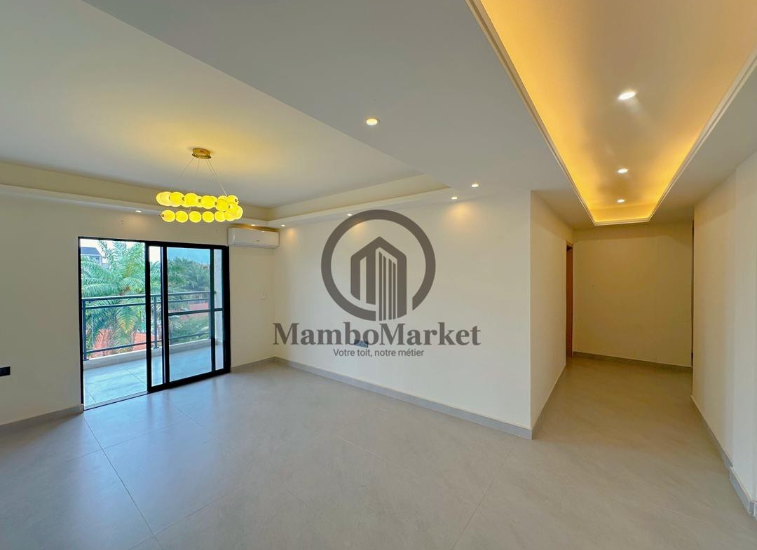 Appartement Penthouse à Louer – Ngaliema, Kinshasa