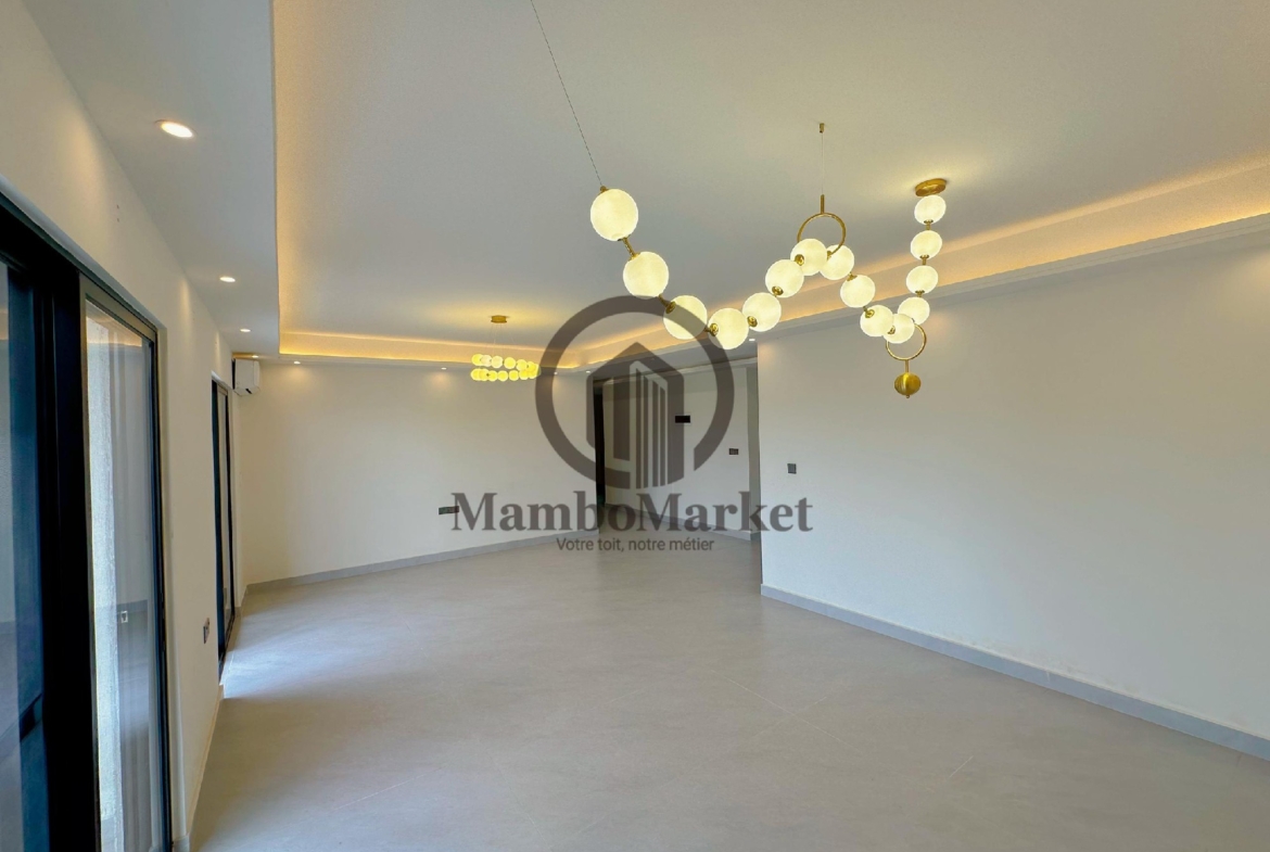 Appartement Penthouse à Louer – Ngaliema, Kinshasa