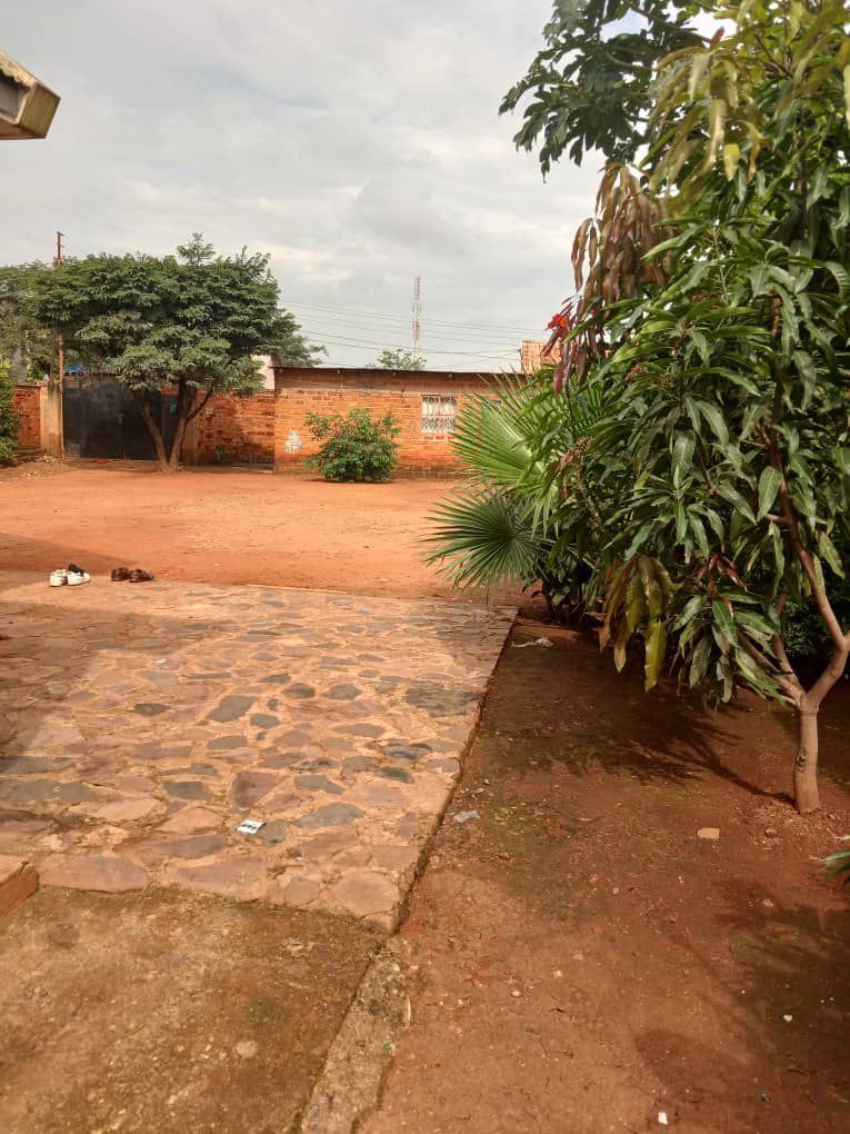 scaled_IMG-20260416-WA0031