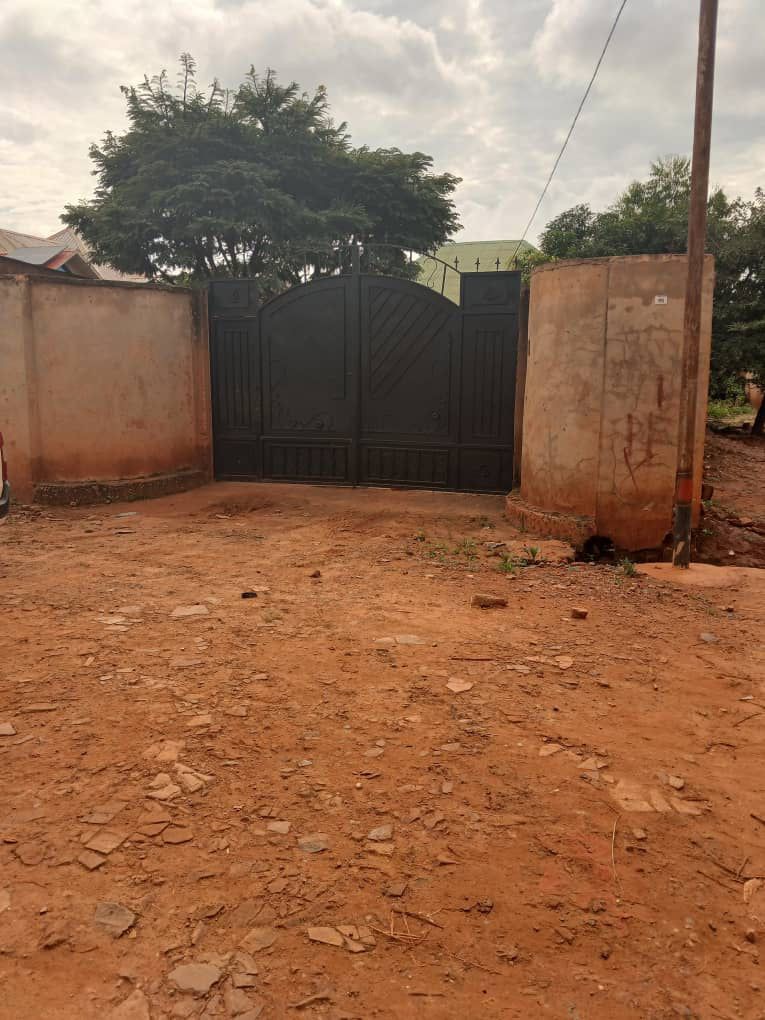 scaled_IMG-20260416-WA0033(1)