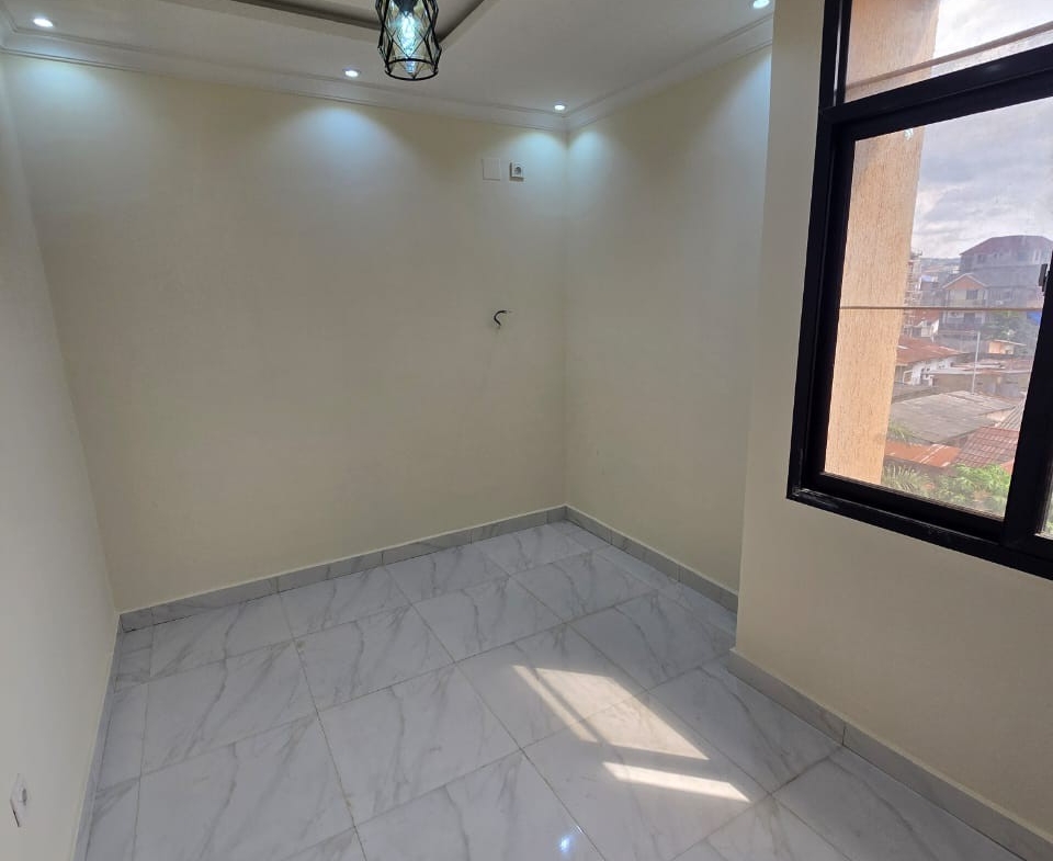 Immeuble à Vendre – Mont-Ngafula, Kinshasa