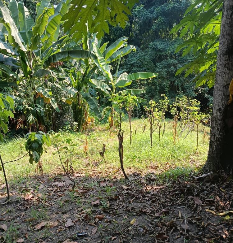 Parcelle-Terrain à Vendre – Macampagne, Kinshasa