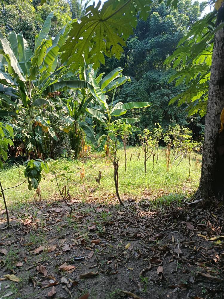 scaled_1001947320 Parcelle-Terrain à Vendre – Macampagne, Kinshasa