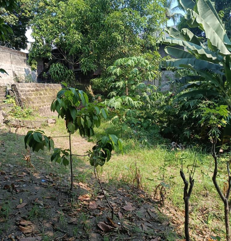 Parcelle-Terrain à Vendre – Macampagne, Kinshasa