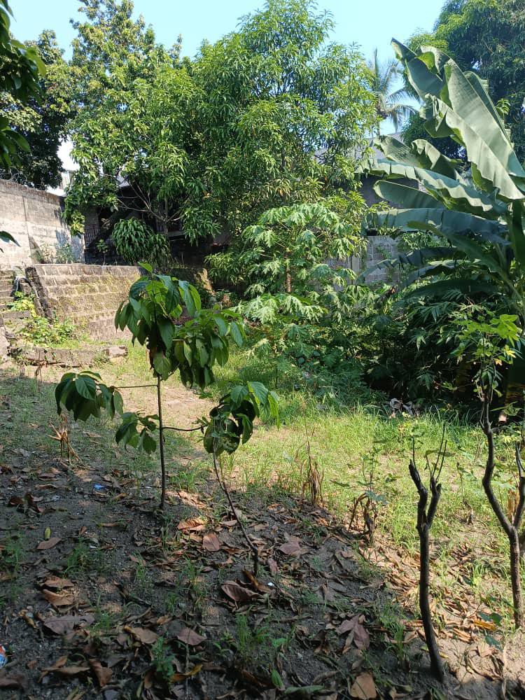 scaled_1001947326 Parcelle-Terrain à Vendre – Macampagne, Kinshasa