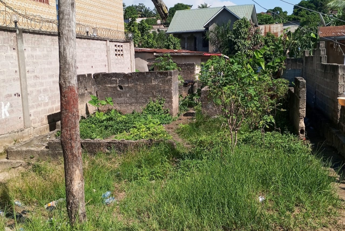 Parcelle-Terrain à Vendre – Mont-Ngafula, Kinshasa