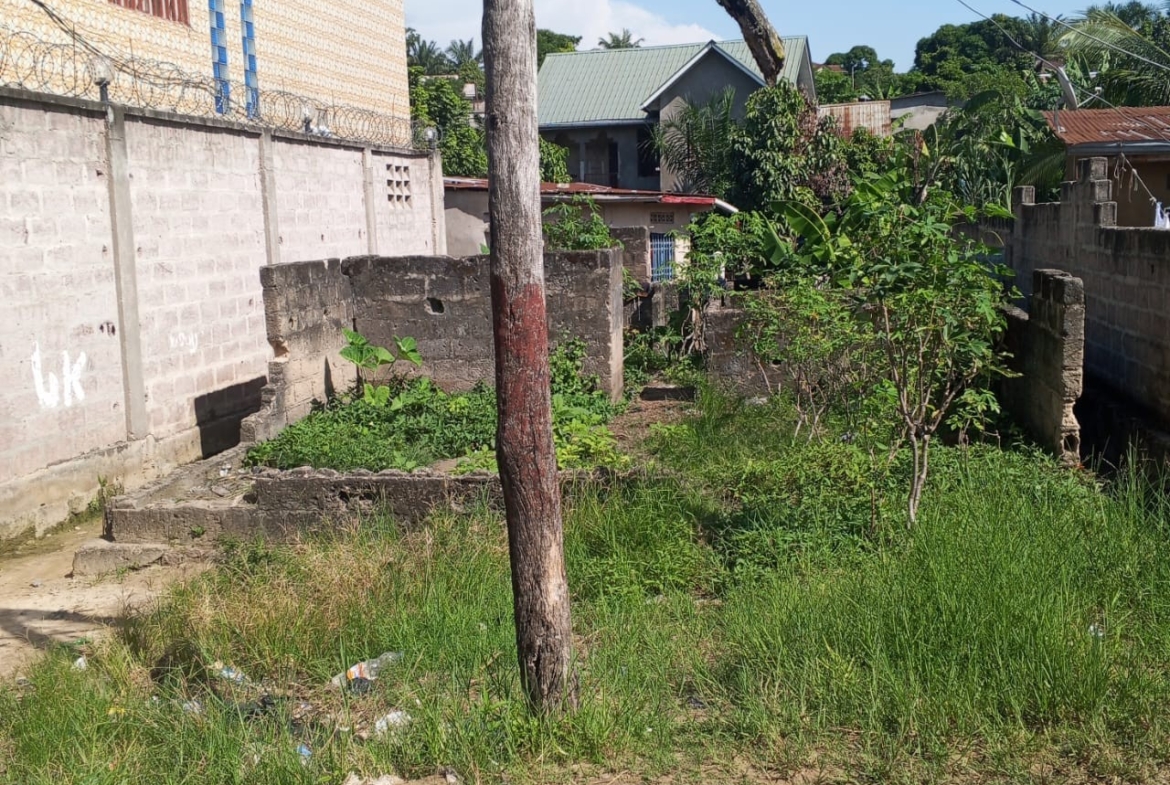 Parcelle-Terrain à Vendre – Mont-Ngafula, Kinshasa